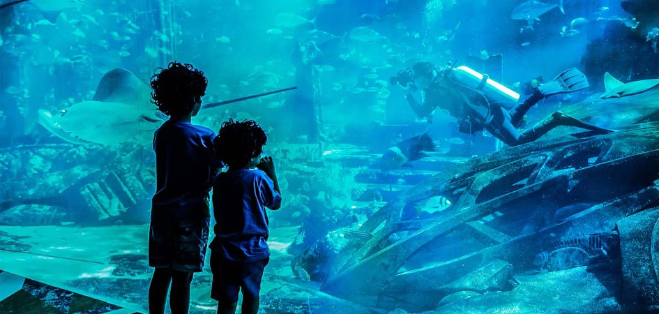 dubai aquarium